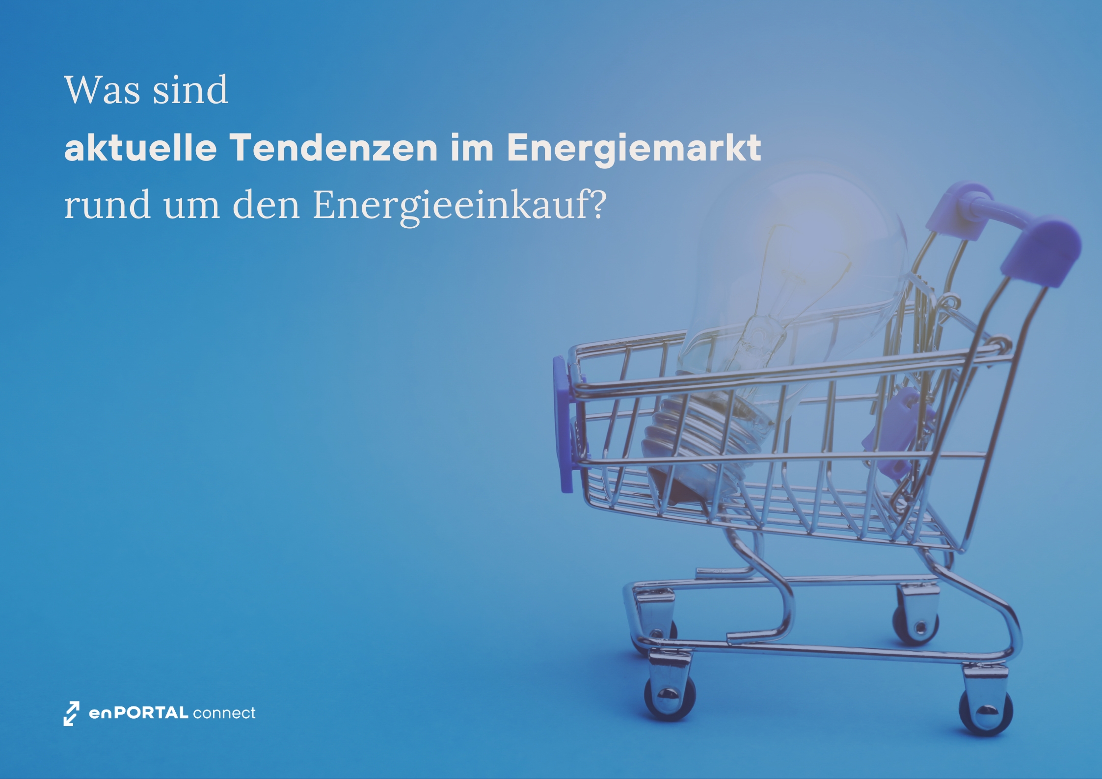 Was sind aktuelle Tendenzen im Energiemarkt rund um den Energieeinkauf? 