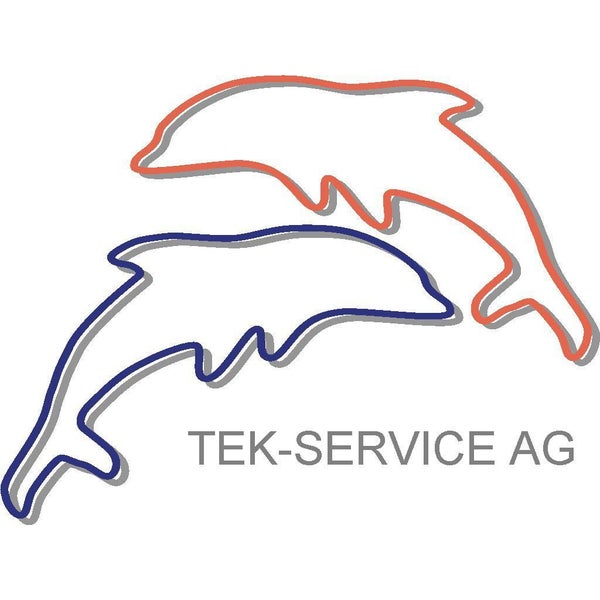 TEK-SERVICE AG